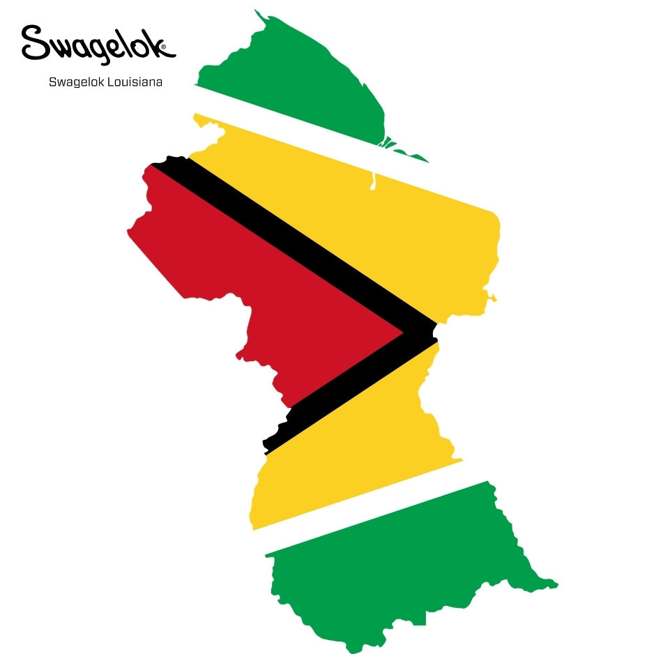 Guyana Flag graphic